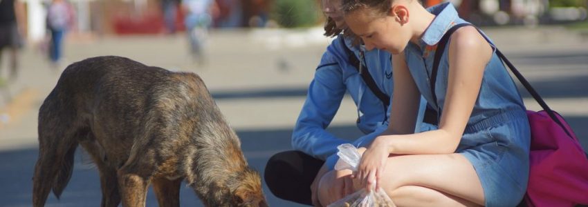 Two children feeding a homeless dog.