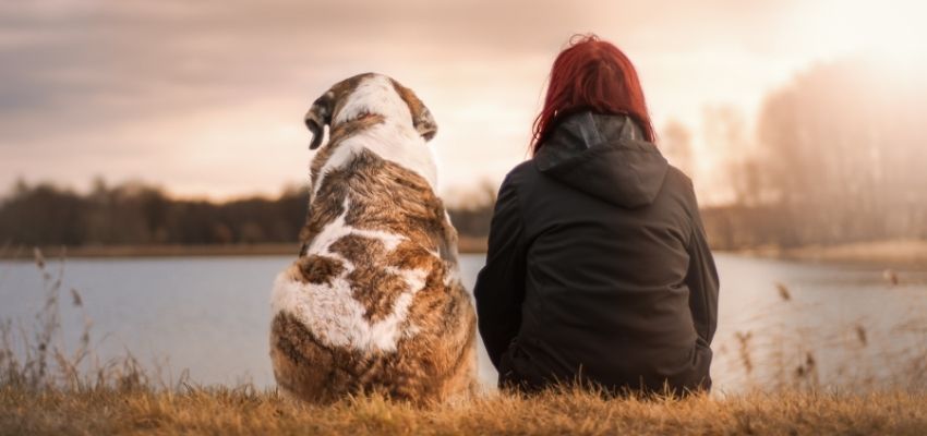 A woman and her dog sitting comfortably together while watching the sunset.