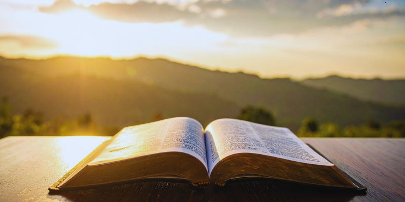 A page in the Bible that discusses the difference between grace and mercy.