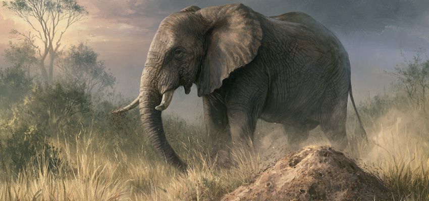10-lines-short-stories-with-moral (1) Majestic elephant walking through the savanna, illustrating one of the classic 10 lines short stories with moral.