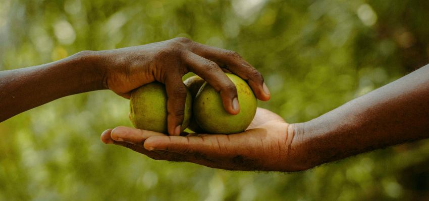 Hands sharing fresh fruit, capturing the spirit found in quotes about kindness generosity.