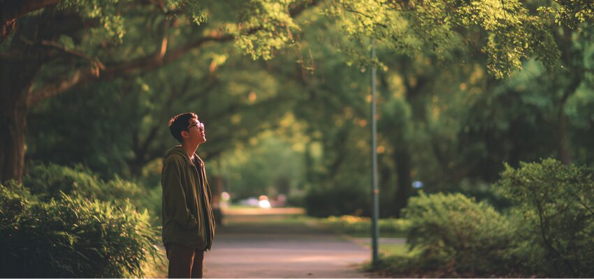 cherish-the-moment-meaning2 Serene young man standing under lush green trees, peacefully looking upward and embracing nature, visualizing the cherish the moment meaning